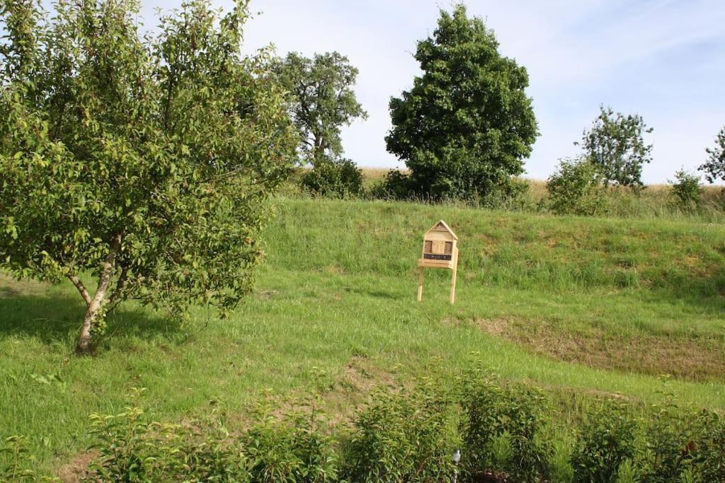 Vakantiehuis Tolles Tinyhaus - Wandern, Biken, Chillen In Der Eifel Gransdorf