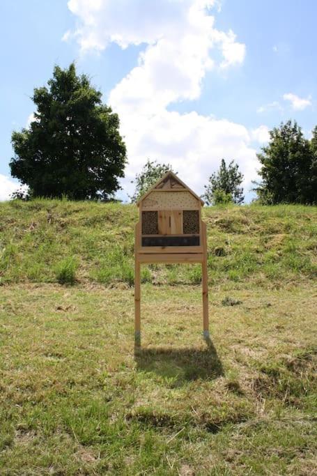 Tolles Tinyhaus - Wandern, Biken, Chillen In Der Eifel *